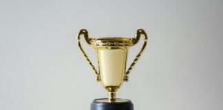 ranking platform dropshipping